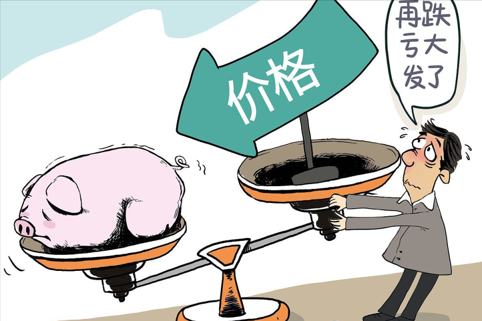 地方新闻 第138页