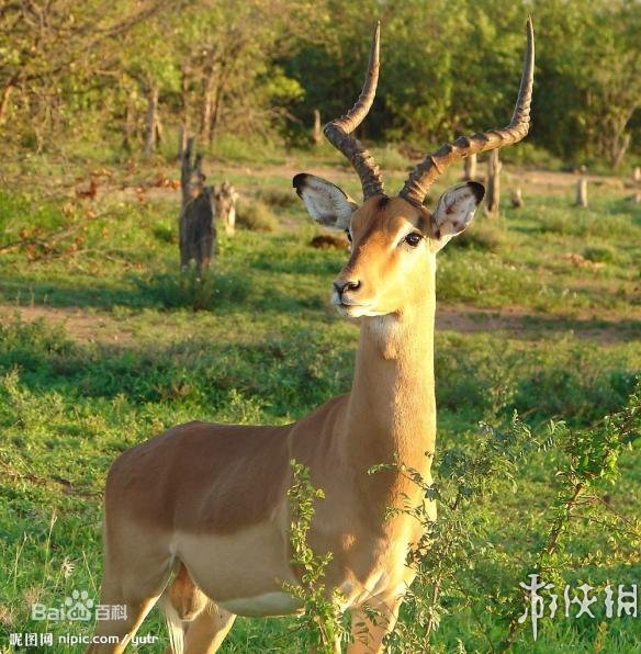 热点生活 第101页