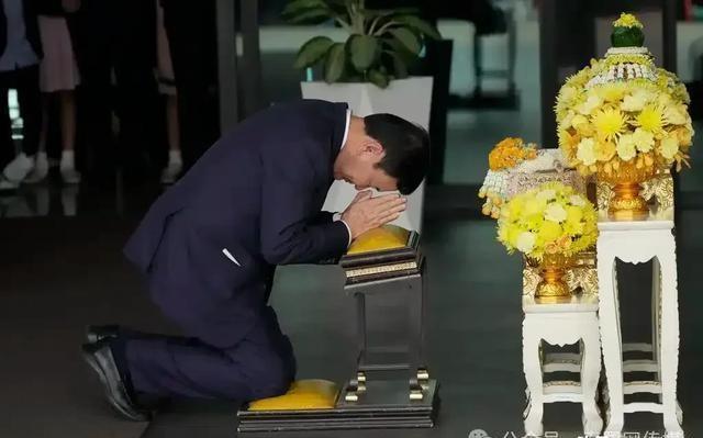 佩通坦被解职 他信家族有何后手佩通坦被解职，他信家族的后手策略揭秘